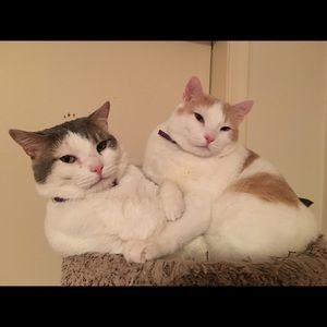 Meet your Posher, Christine